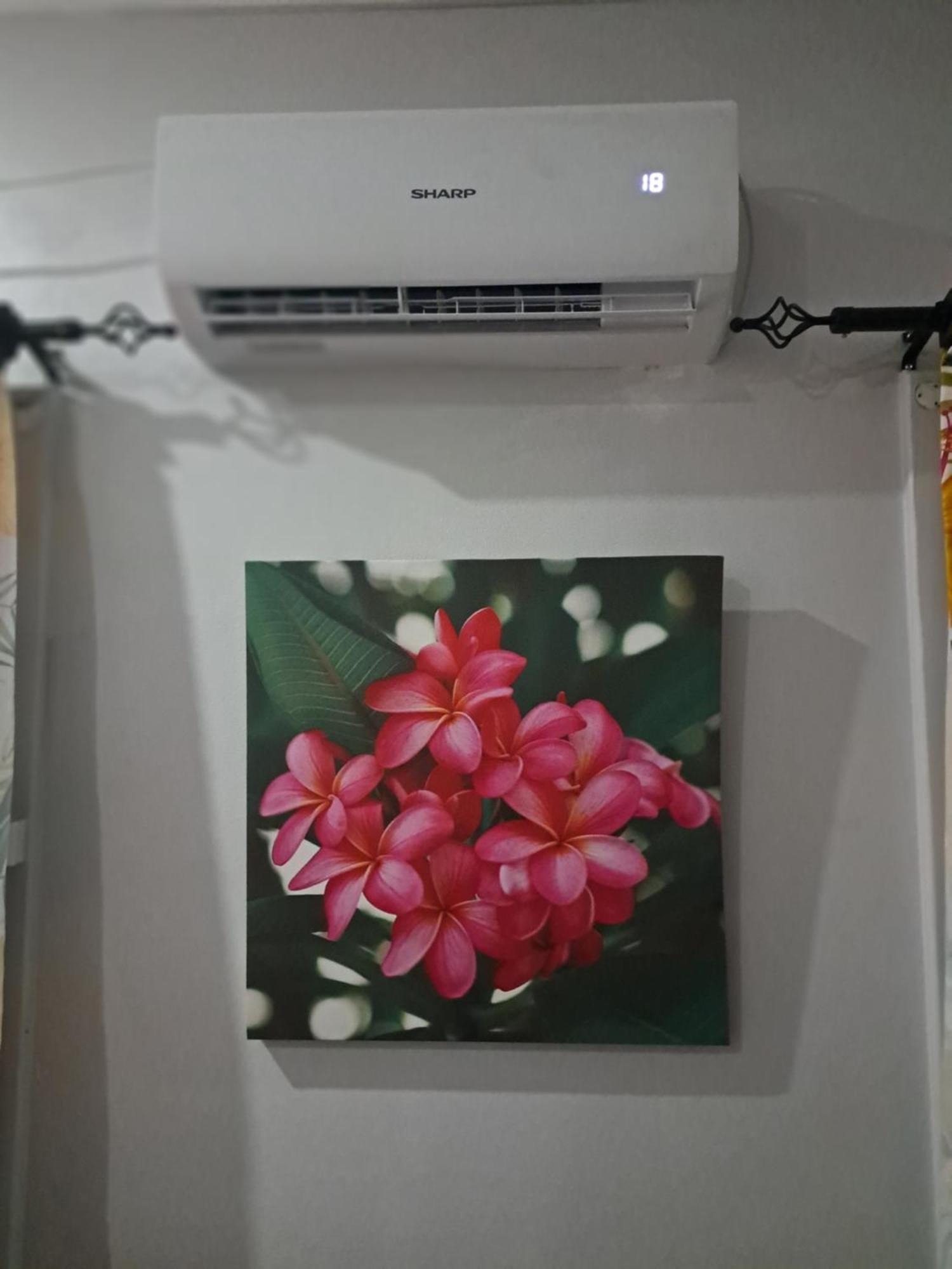 Tropical Almond Haven Bed & Breakfast Suva Luaran gambar