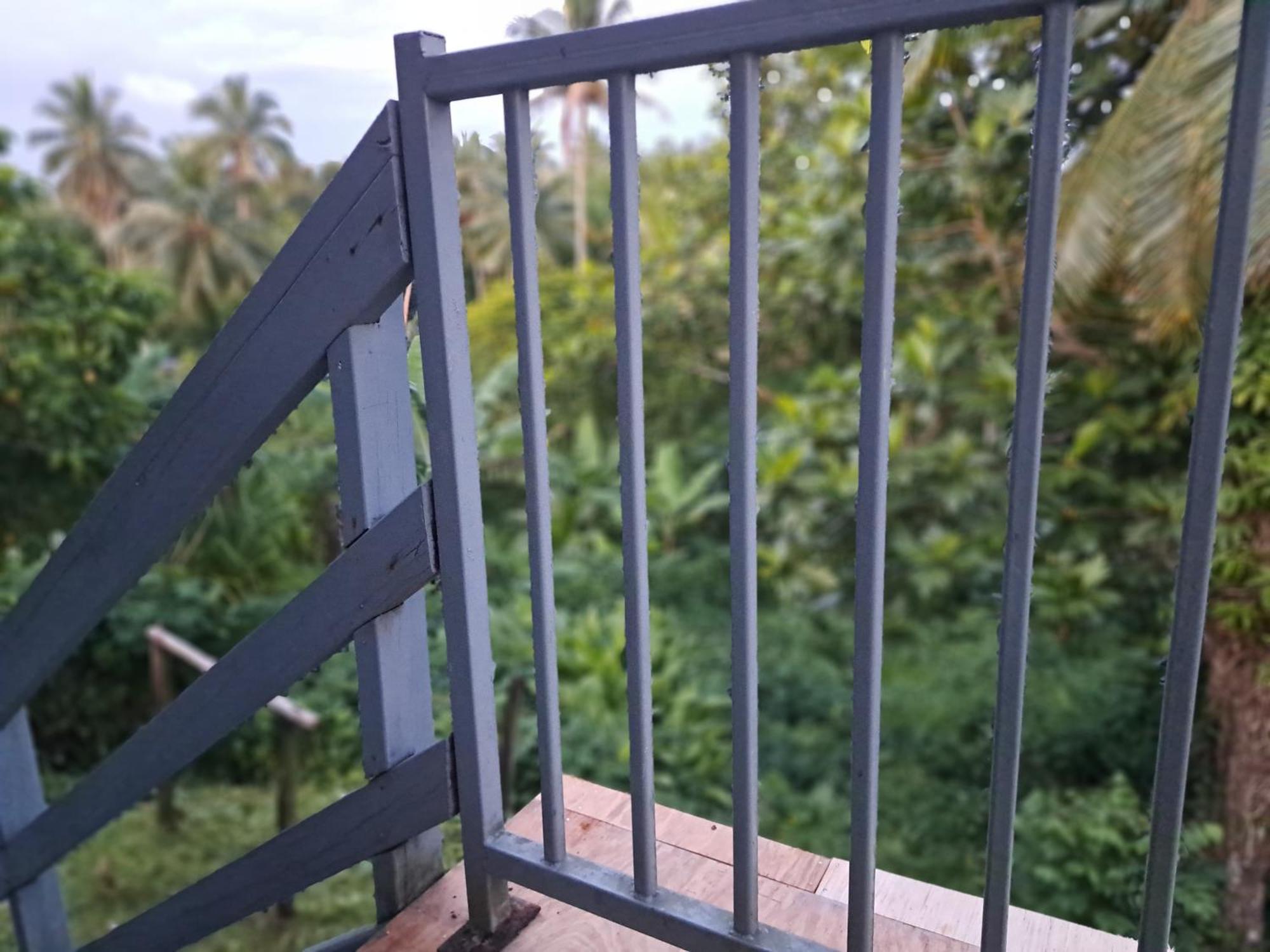Tropical Almond Haven Bed & Breakfast Suva Luaran gambar